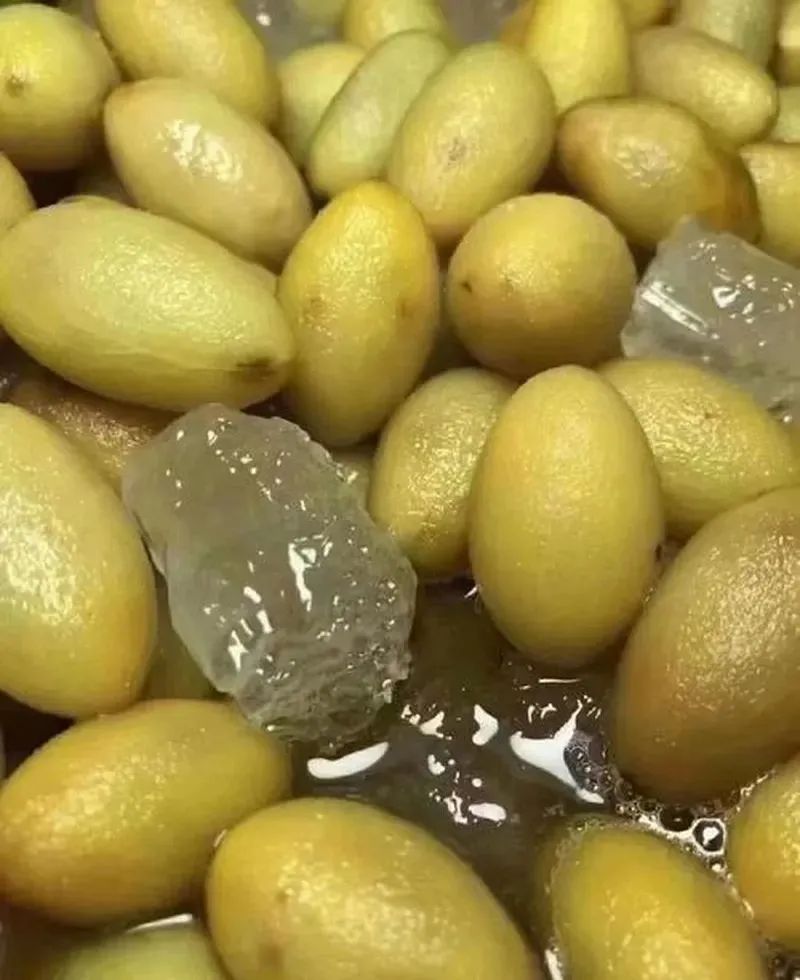 微信图片_20250702114522.jpg